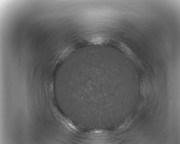 X0000061730365200512050940