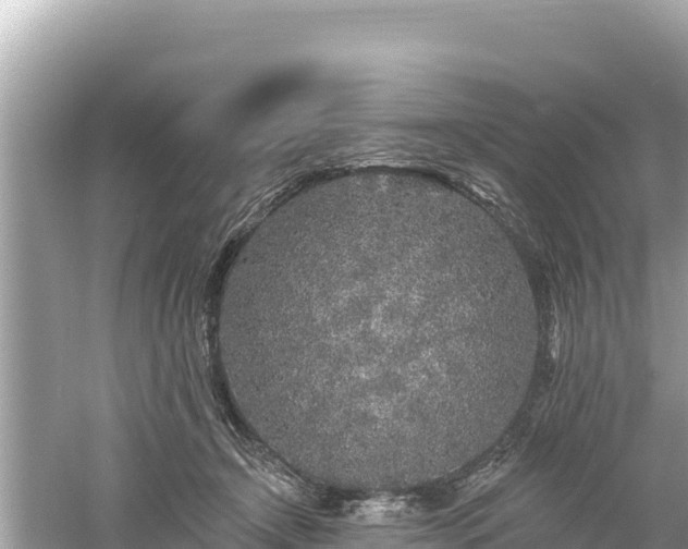 X0000061730366200512050940