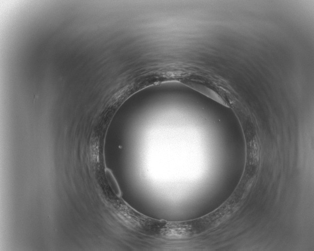 X0000061730368200512050940