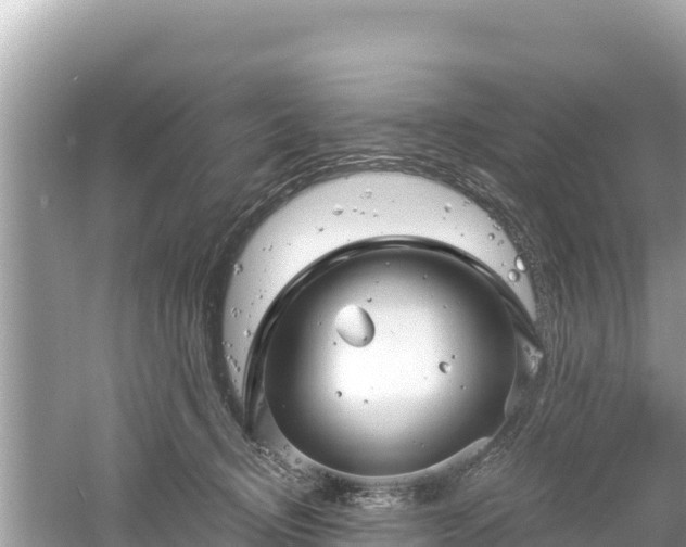 X0000061730370200512050940