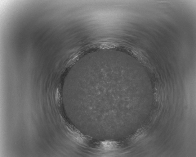 X0000061730371200512050940