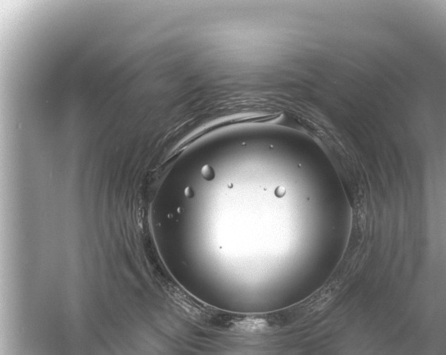 X0000061730374200512050940