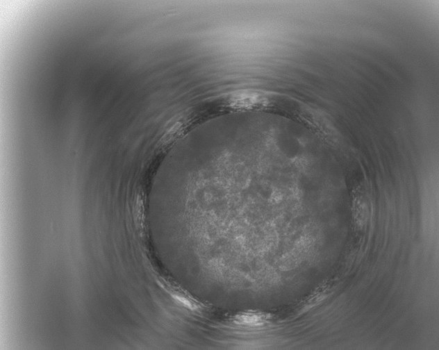 X0000061730375200512050940