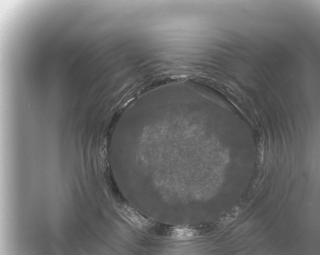 X0000061730376200512050940