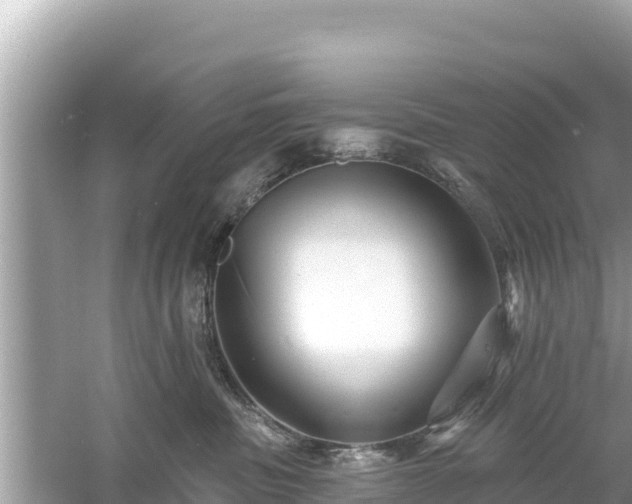 X0000061730379200512050940