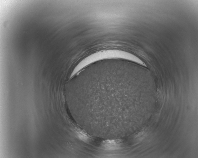 X0000061730381200512050940