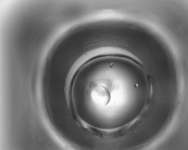 X0000061730382200512050940