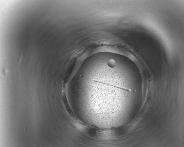 X0000061730383200512050940