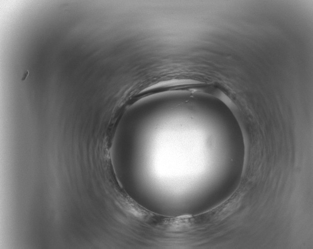 X0000061730384200512050940