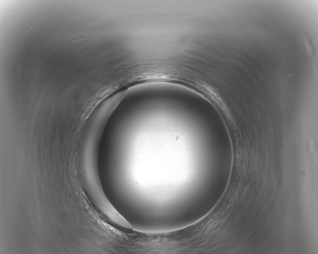 X0000061730385200512050939