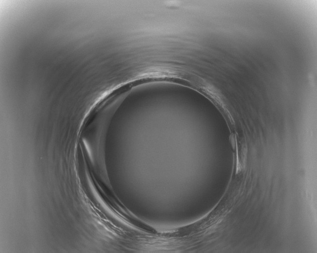 X0000061730387200512050939