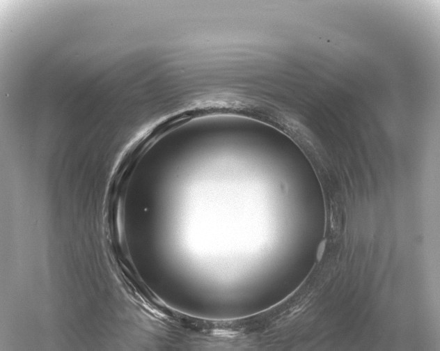 X0000061730388200512050939