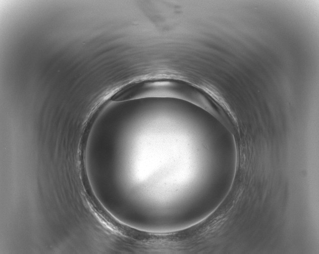 X0000061730389200512050939