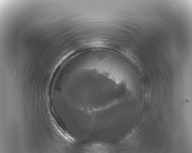 X0000061730390200512050939