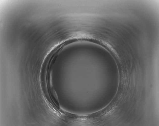 X0000061730391200512050939