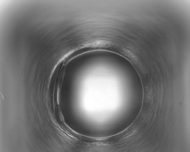 X0000061730392200512050939