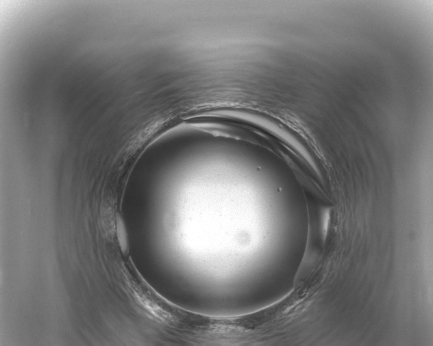 X0000061730393200512050939