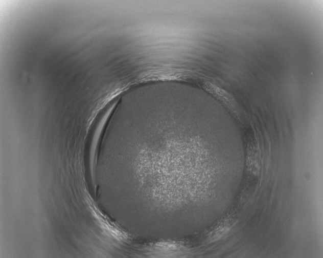 X0000061730394200512050939