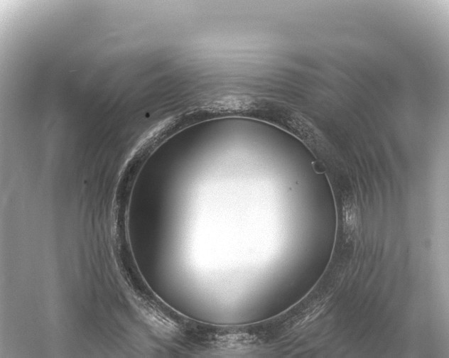 X0000061730396200512050939