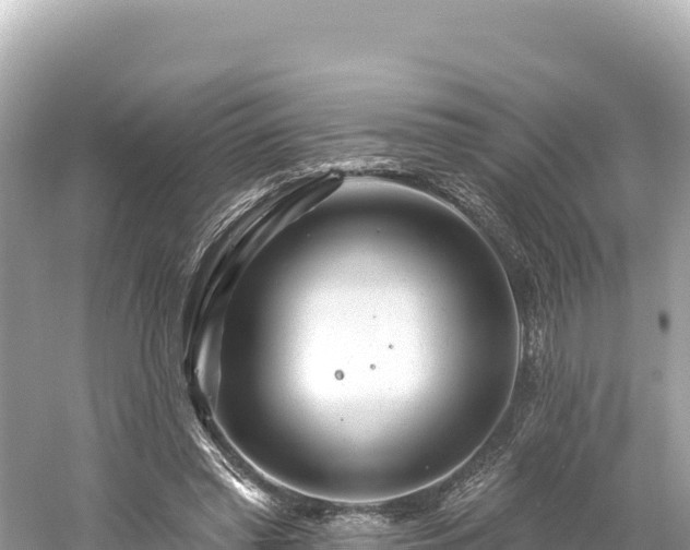 X0000061730397200512050939