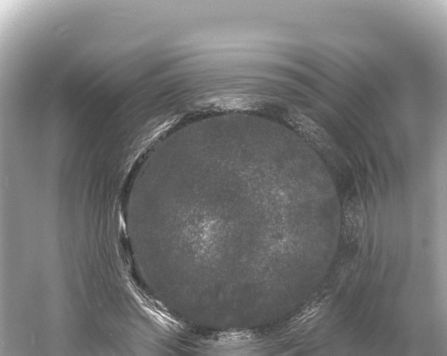 X0000061730398200512050939