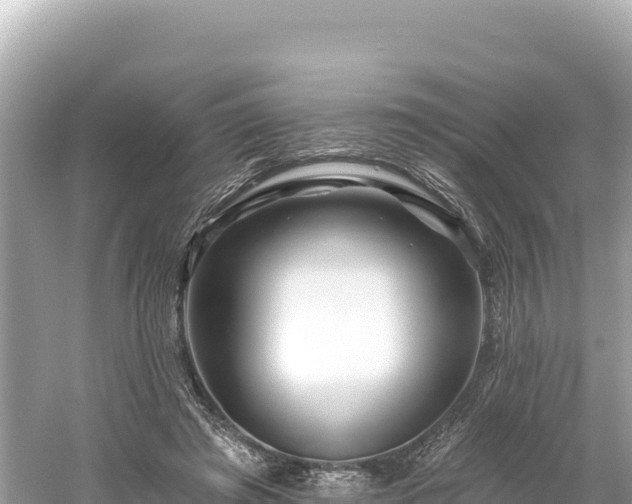 X0000061730401200512050939