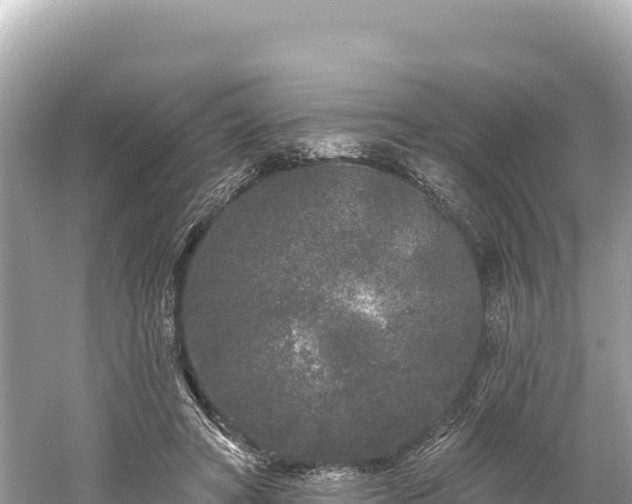 X0000061730402200512050939