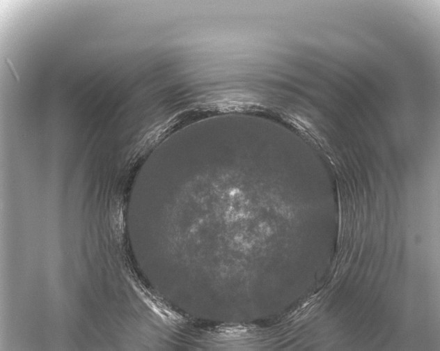 X0000061730405200512050939