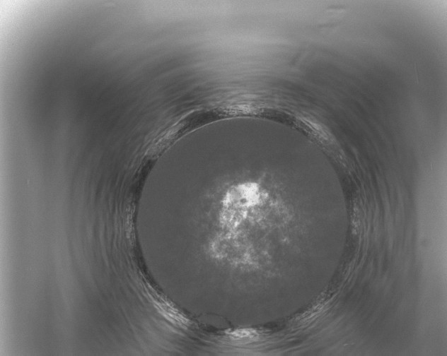 X0000061730409200512050939