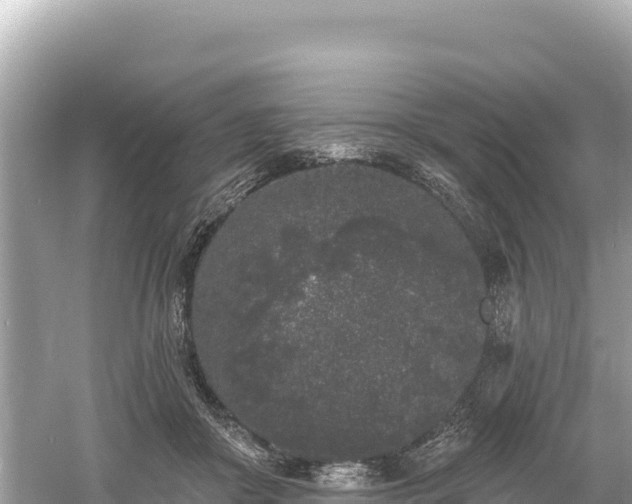 X0000061730410200512050939