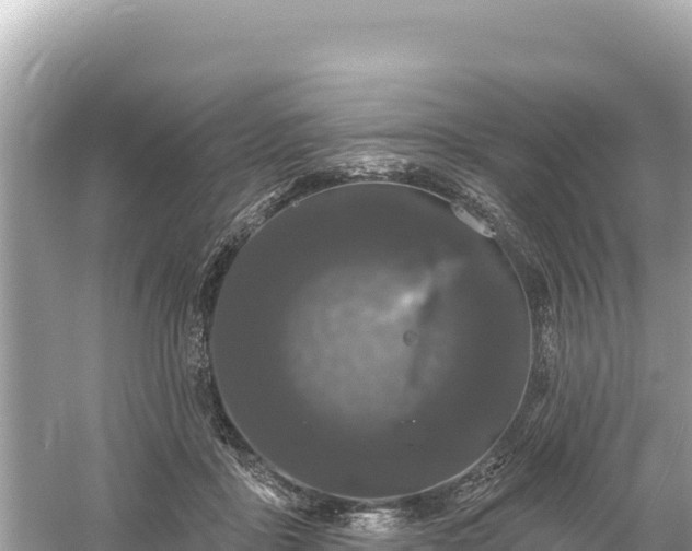 X0000061730411200512050939