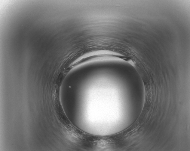 X0000061730412200512050939