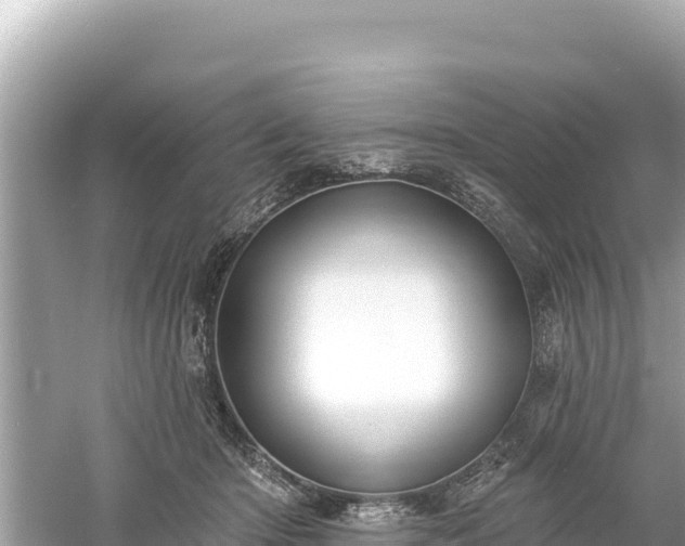 X0000061730414200512050939