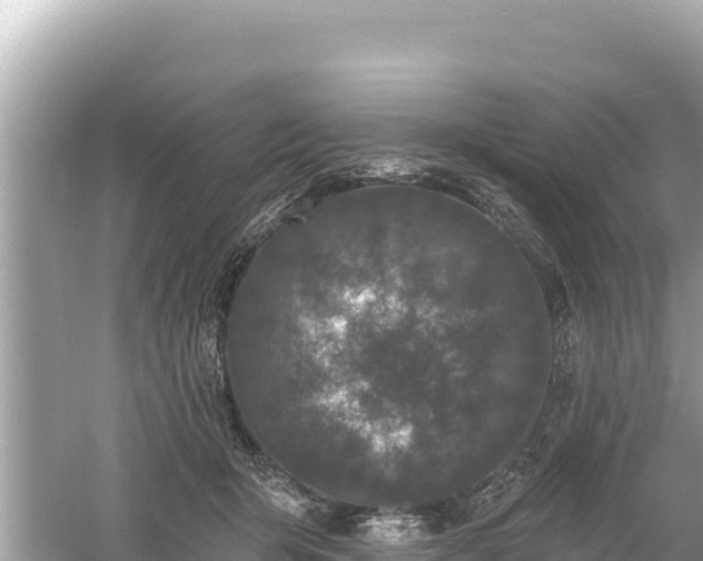 X0000061730415200512050939