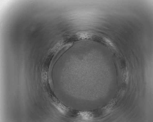 X0000061730417200512050939