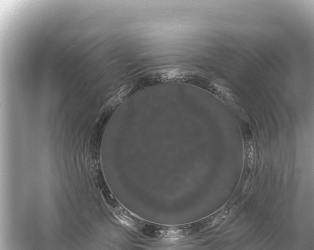 X0000061730419200512050939