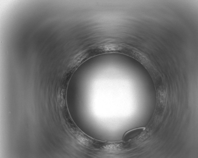 X0000061730422200512050939