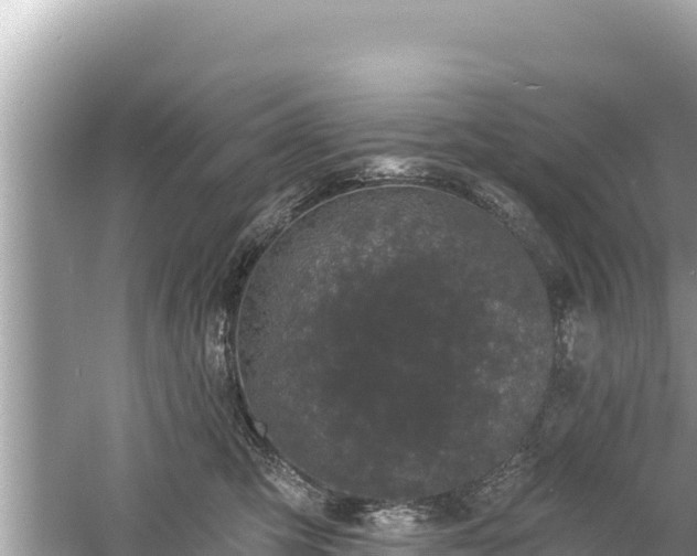 X0000061730423200512050938