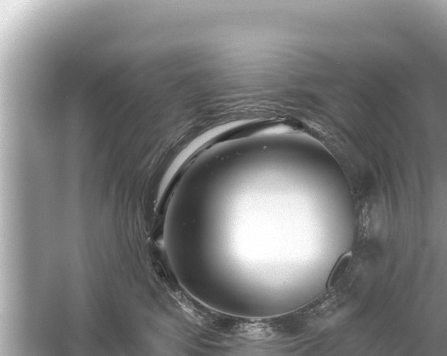 X0000061730424200512050938