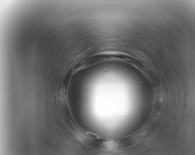 X0000061730425200512050938