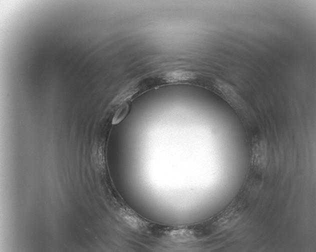 X0000061730426200512050938