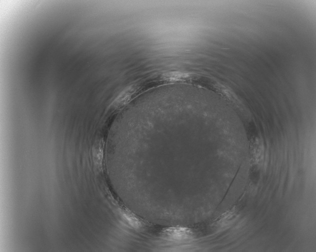 X0000061730427200512050938