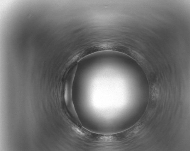 X0000061730428200512050938