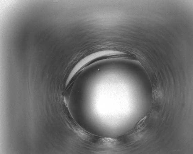 X0000061730429200512050938