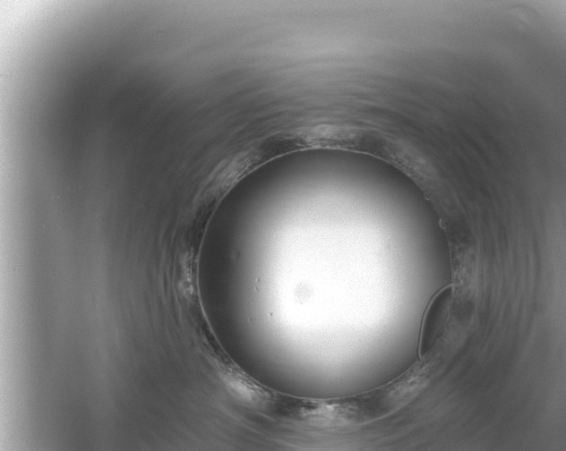 X0000061730430200512050938