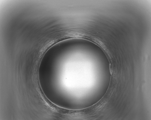 X0000061730433200512050938