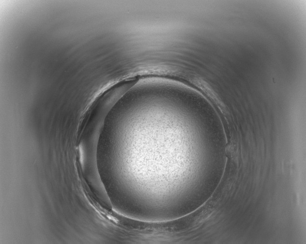 X0000061730434200512050938