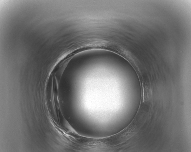 X0000061730435200512050938