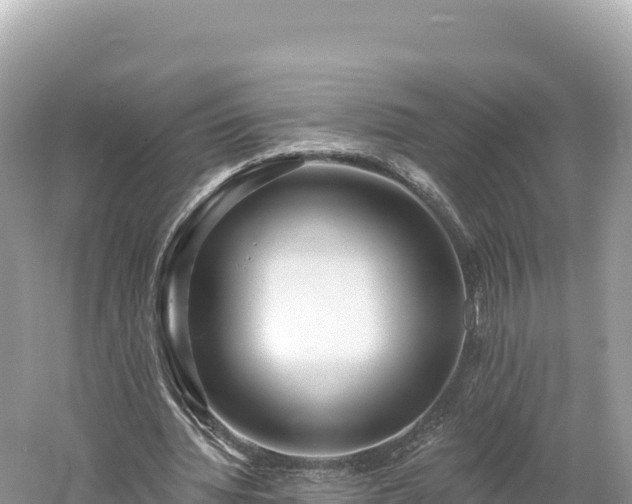 X0000061730436200512050938