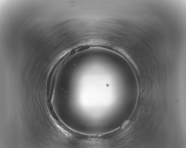 X0000061730437200512050938